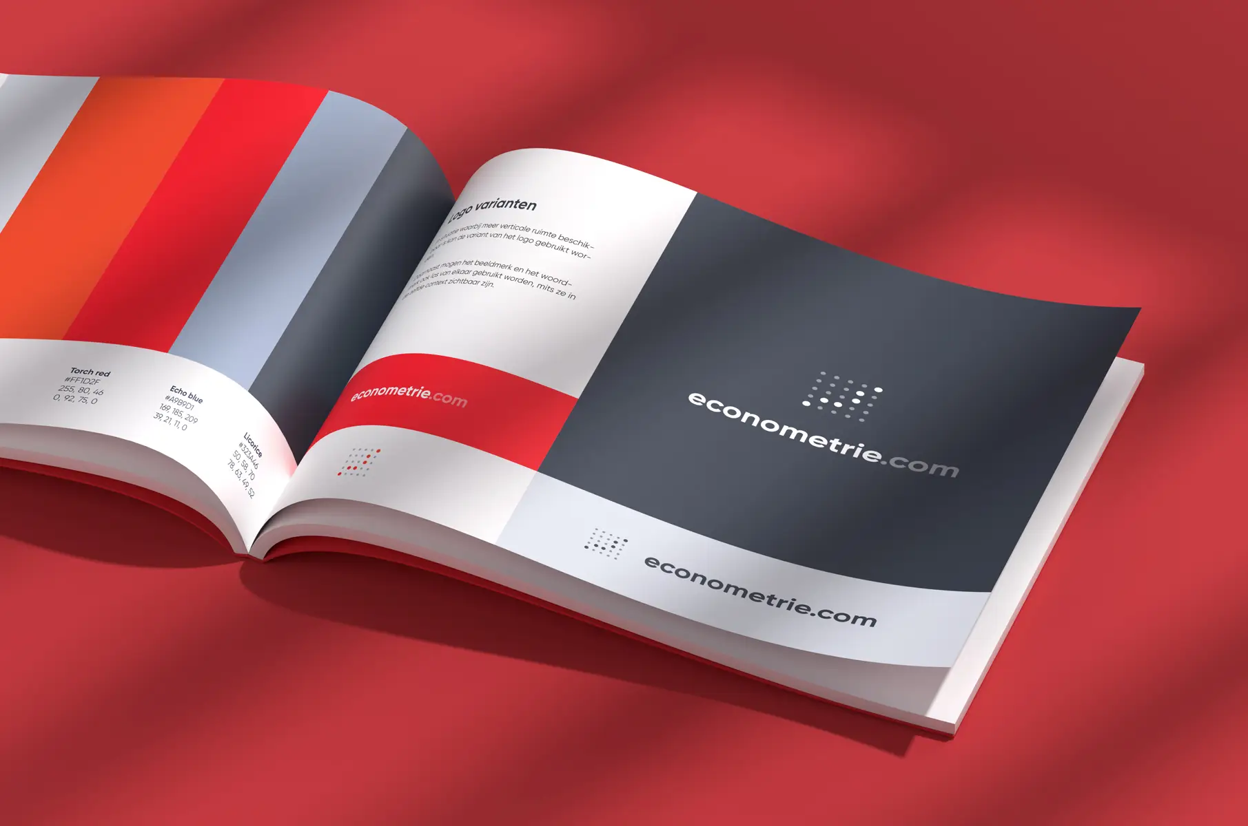 Professional branding and website design for Econometrie.com – a recruitment platform for econometricians with a dynamic red and gray color scheme, crafted by Boldbase Amsterdam.

