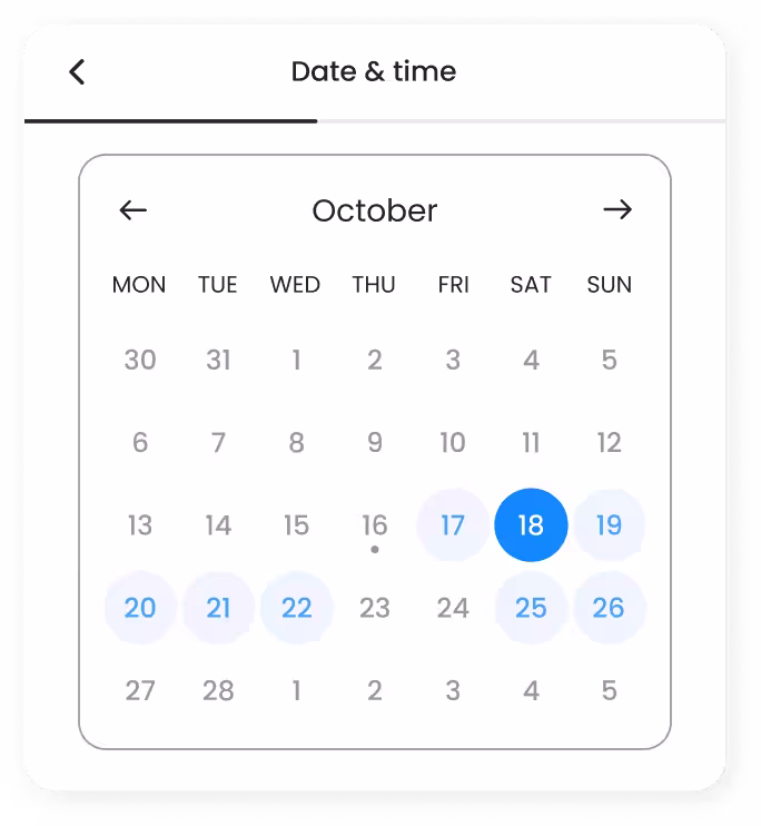Panda Hub 5th step, the booking calendar showing date selection for mobile car detailing appointment with seven-day availability