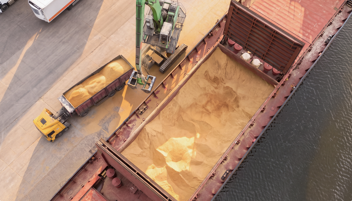 Sedna VMS managing a dry bulk voyage