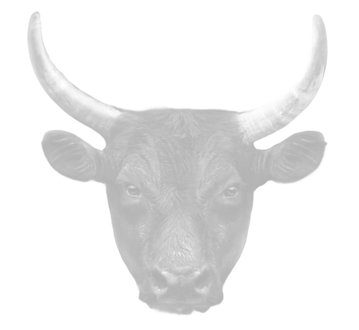No Bullshit Growth MASSolutions