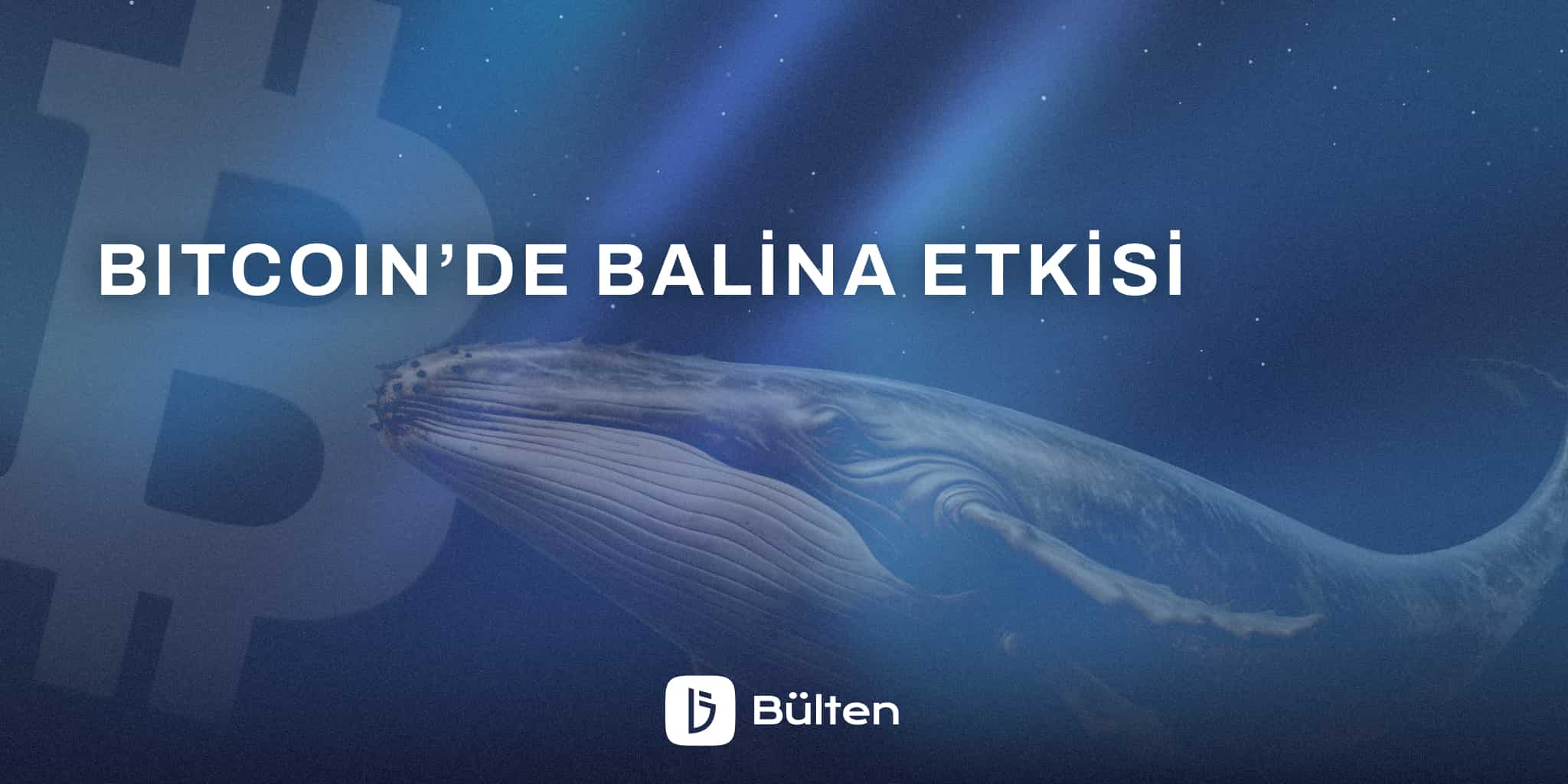 Bitcoin’de Balina Etkisi