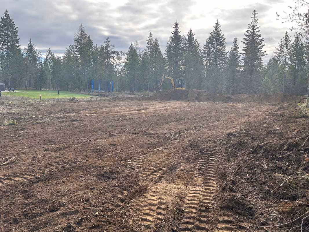 Excavator on cleared land with tire tracks, surrounded by pine forest