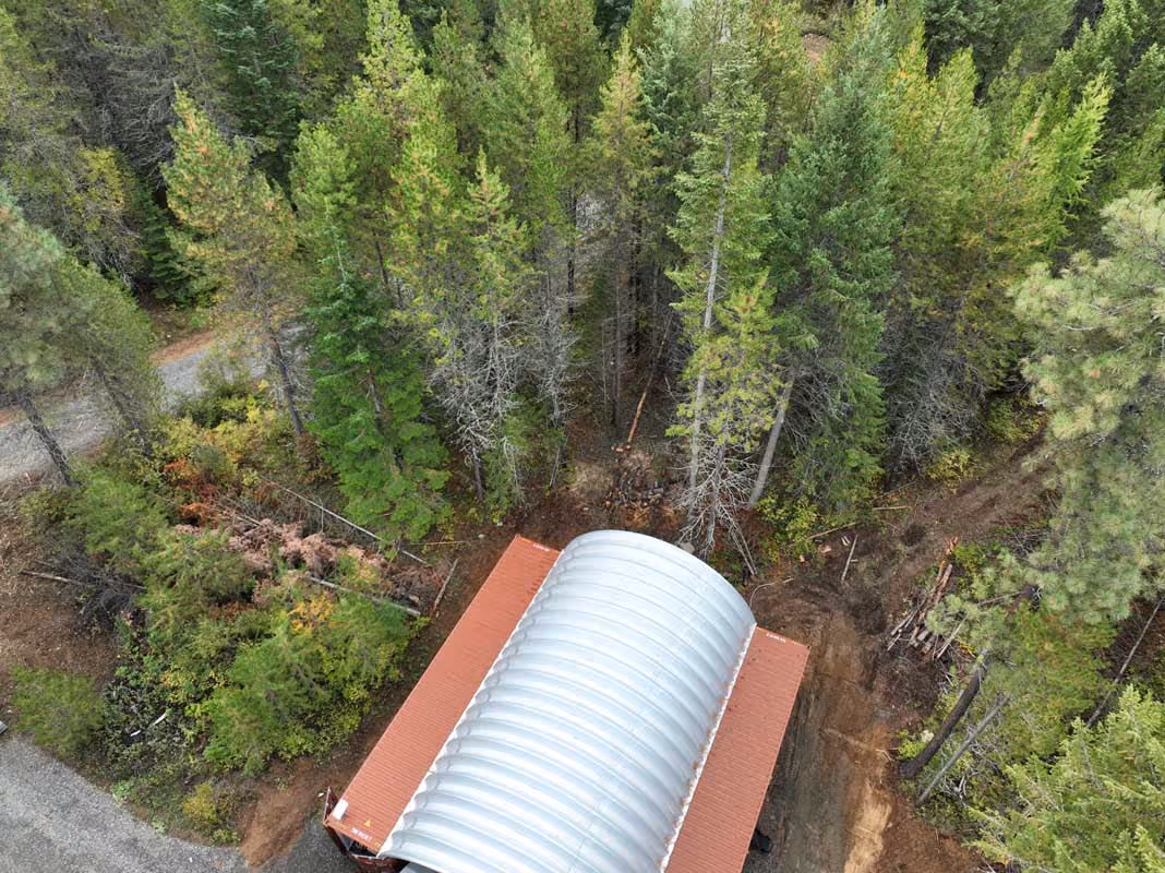 Corrugated metal structure with red roof nestled in dense evergreen forest
