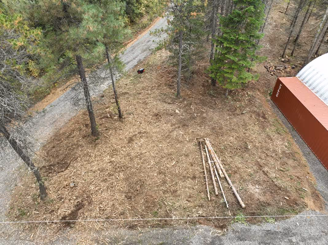 Cleared forest area with trees, gravel path, logs, and red container