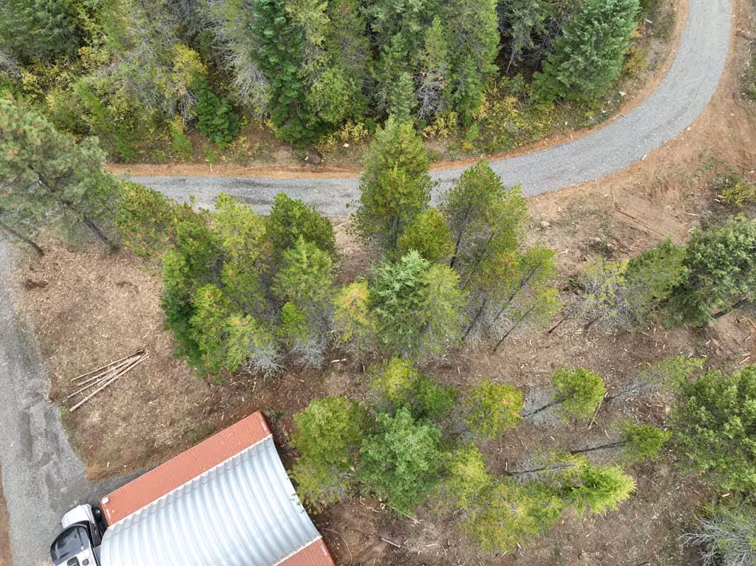 Aerial view of winding gravel road through dense green forest with building
