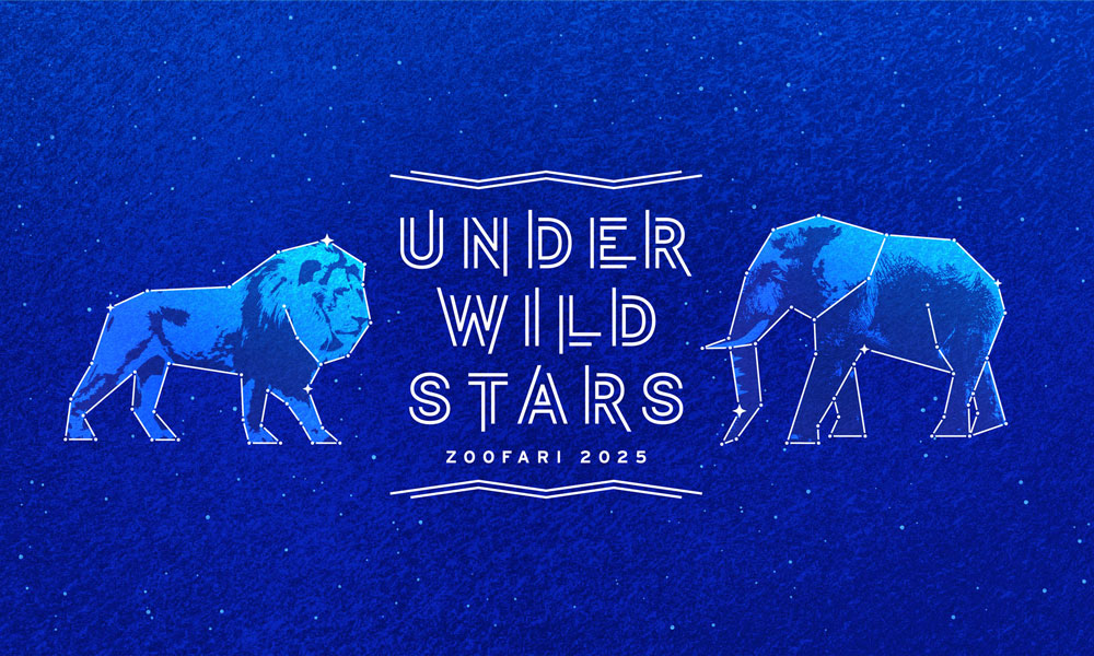 Agent creates theme and branding for 2025 Zoofari.