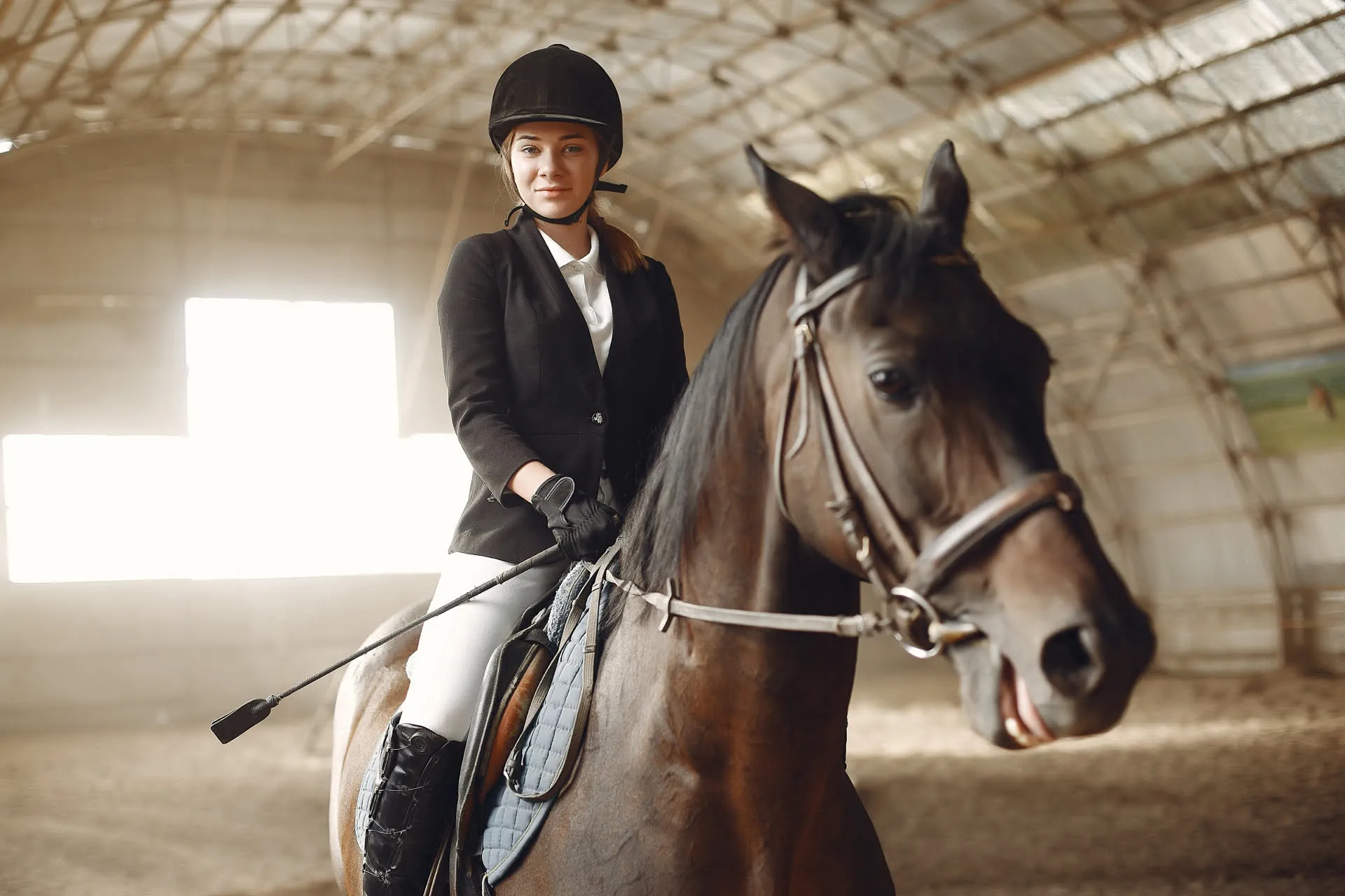 Horse with Woman