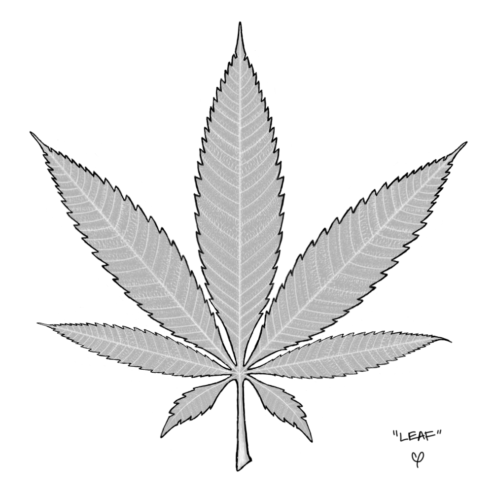 Hockey trophy helmet