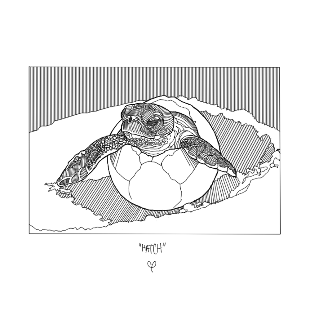 Basketball fan with wings