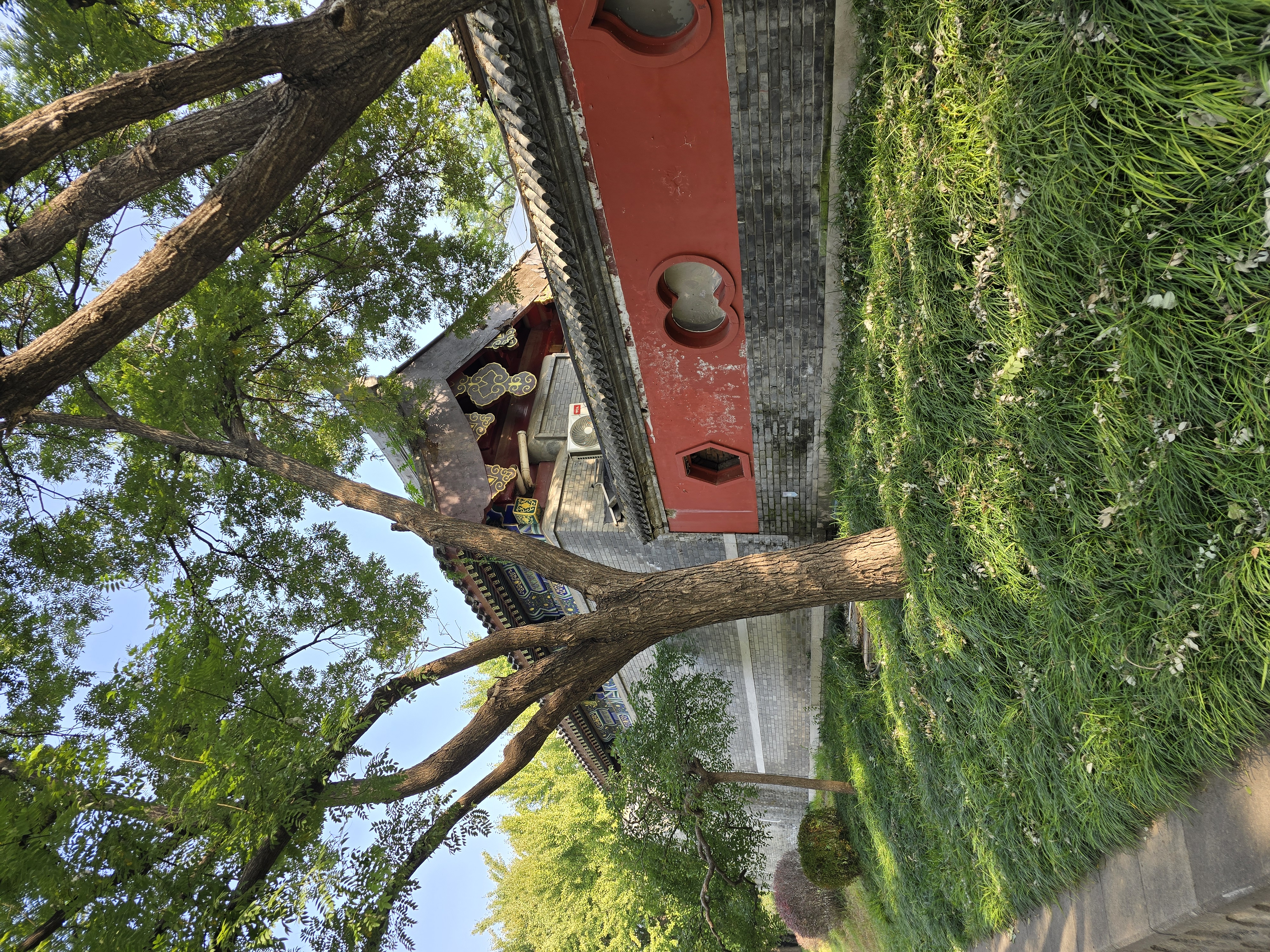 A long red wall beneath mature trees.