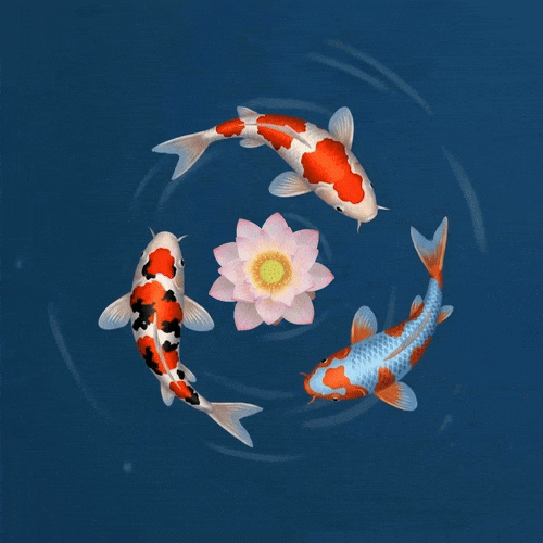 Interactive Fish Pond