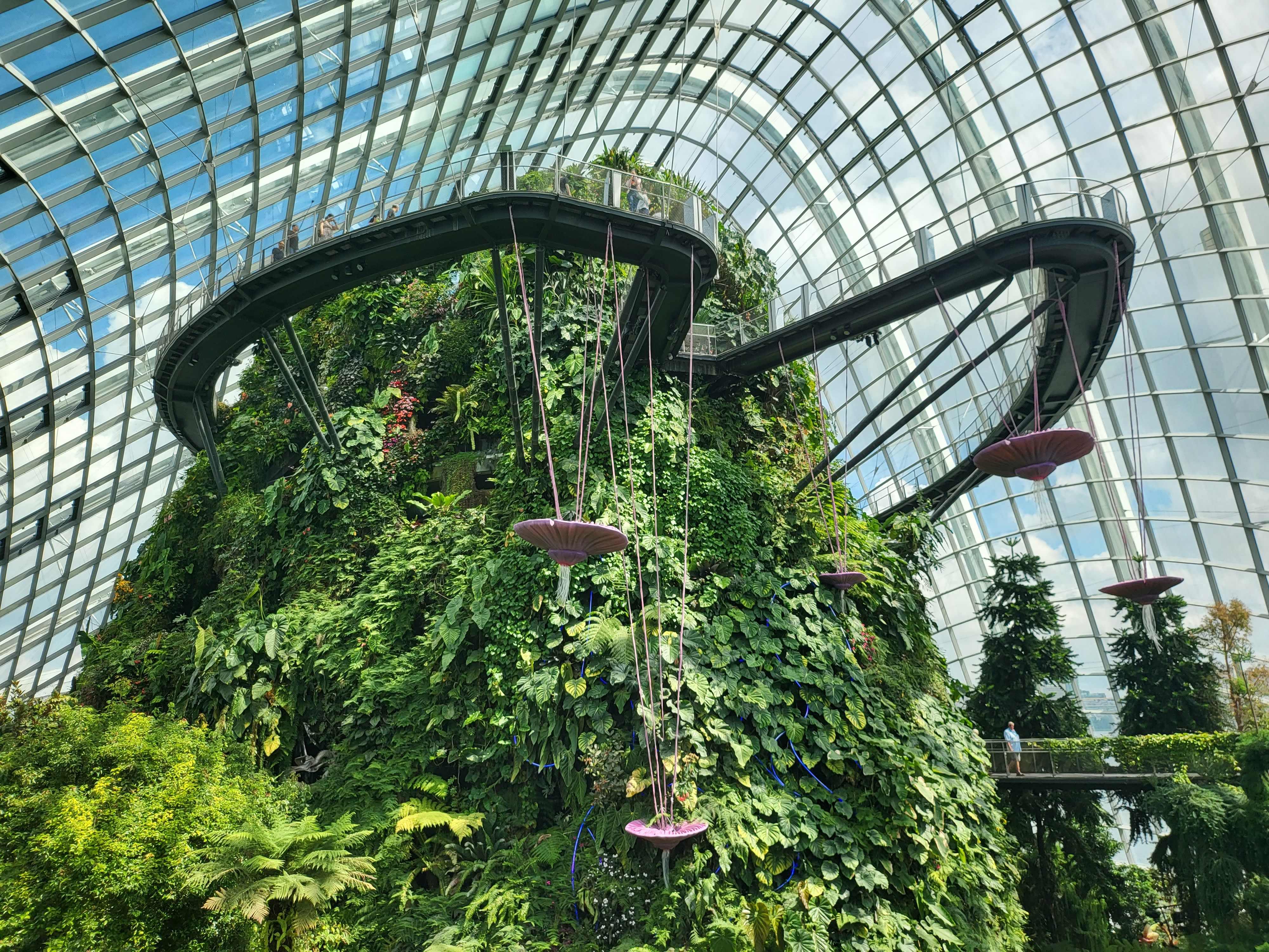 A curving aerial walkway around the planted mountain in Cloud Forest