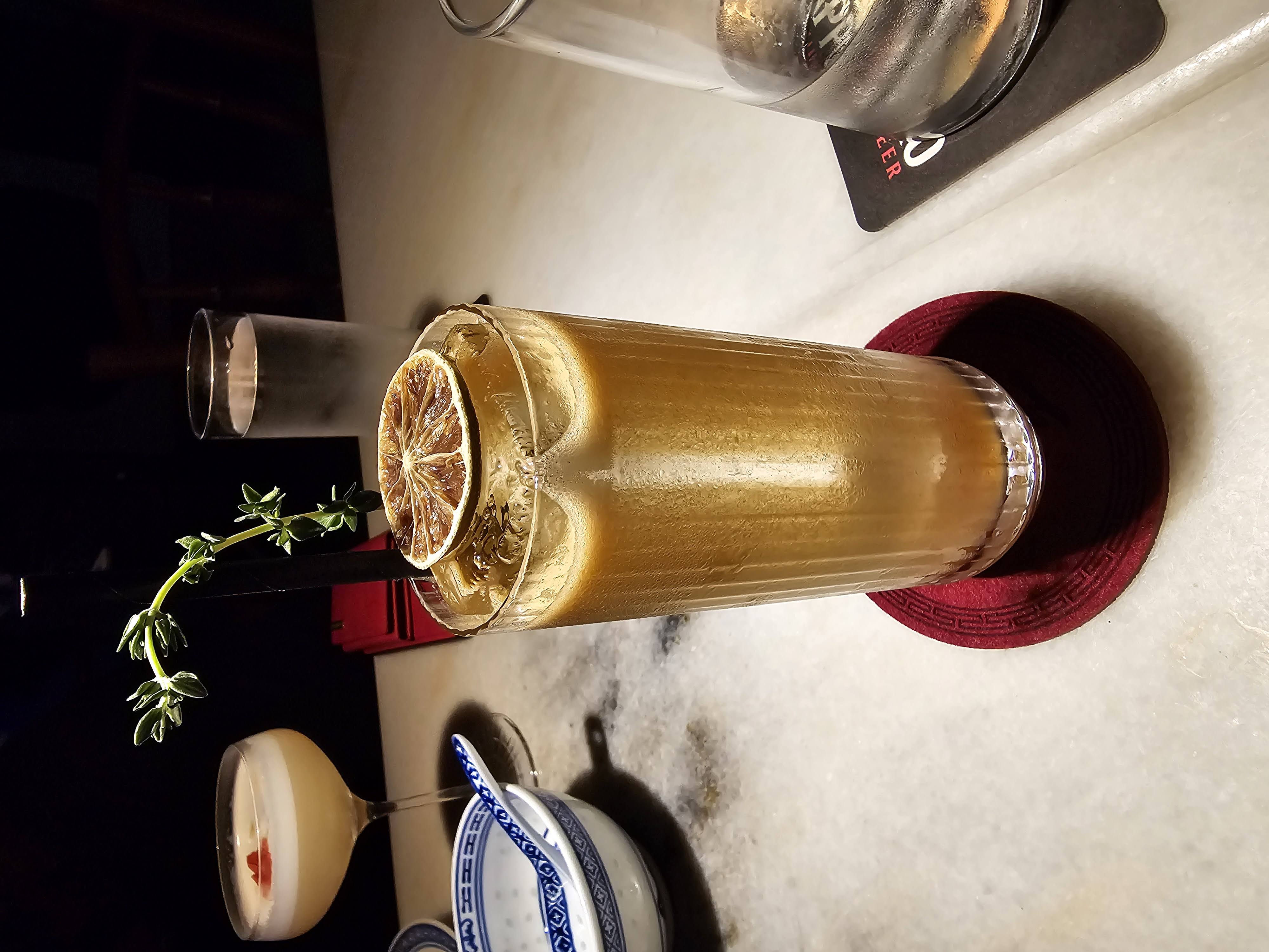 Tall iced cocktail topped with dried citrus and a sprig of greenery