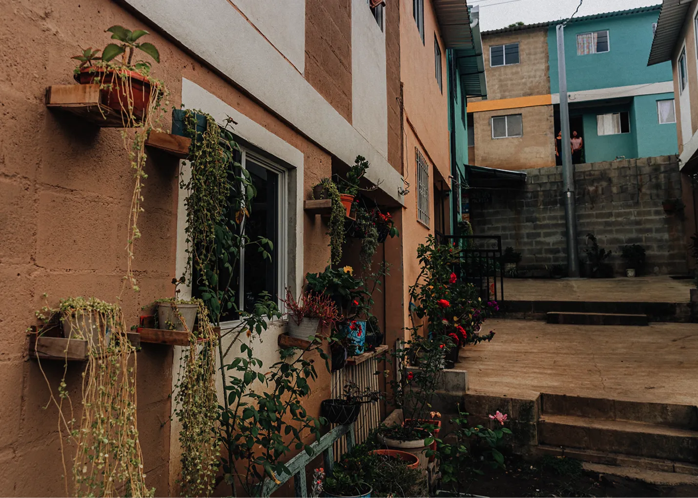 A thriving garden next to a home in El Salvador