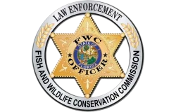Agency logo