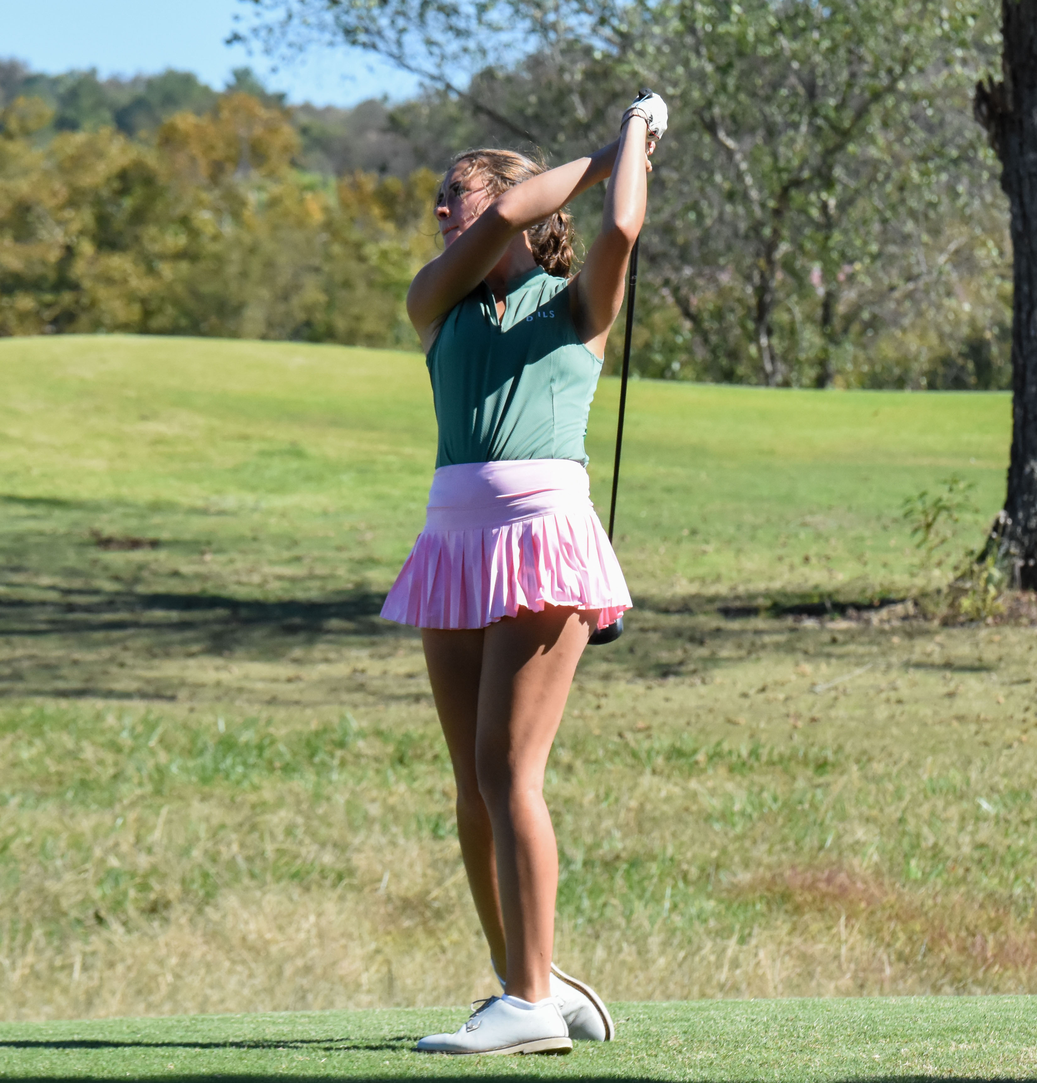 __wf_reserved_inherit