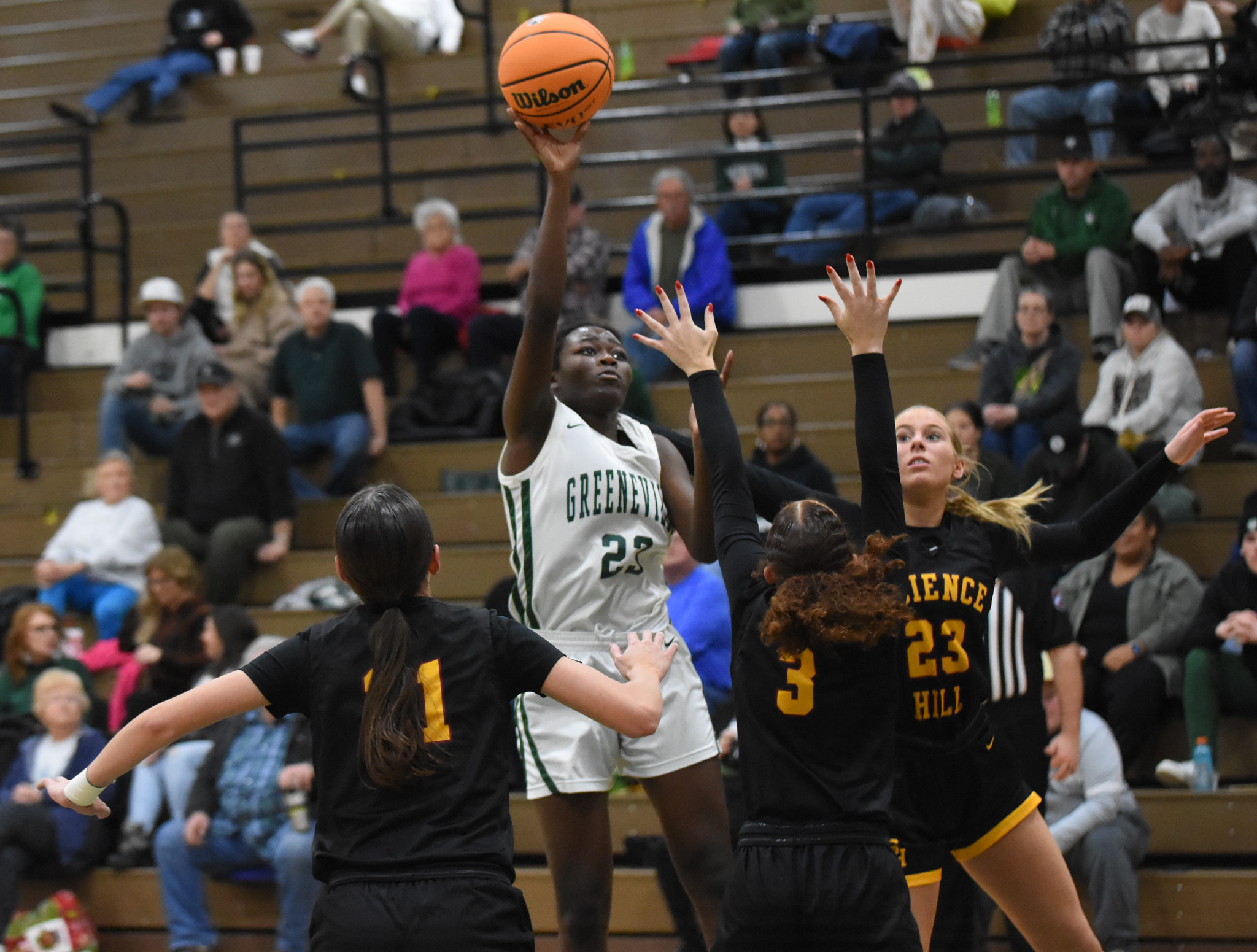 __wf_reserved_inherit