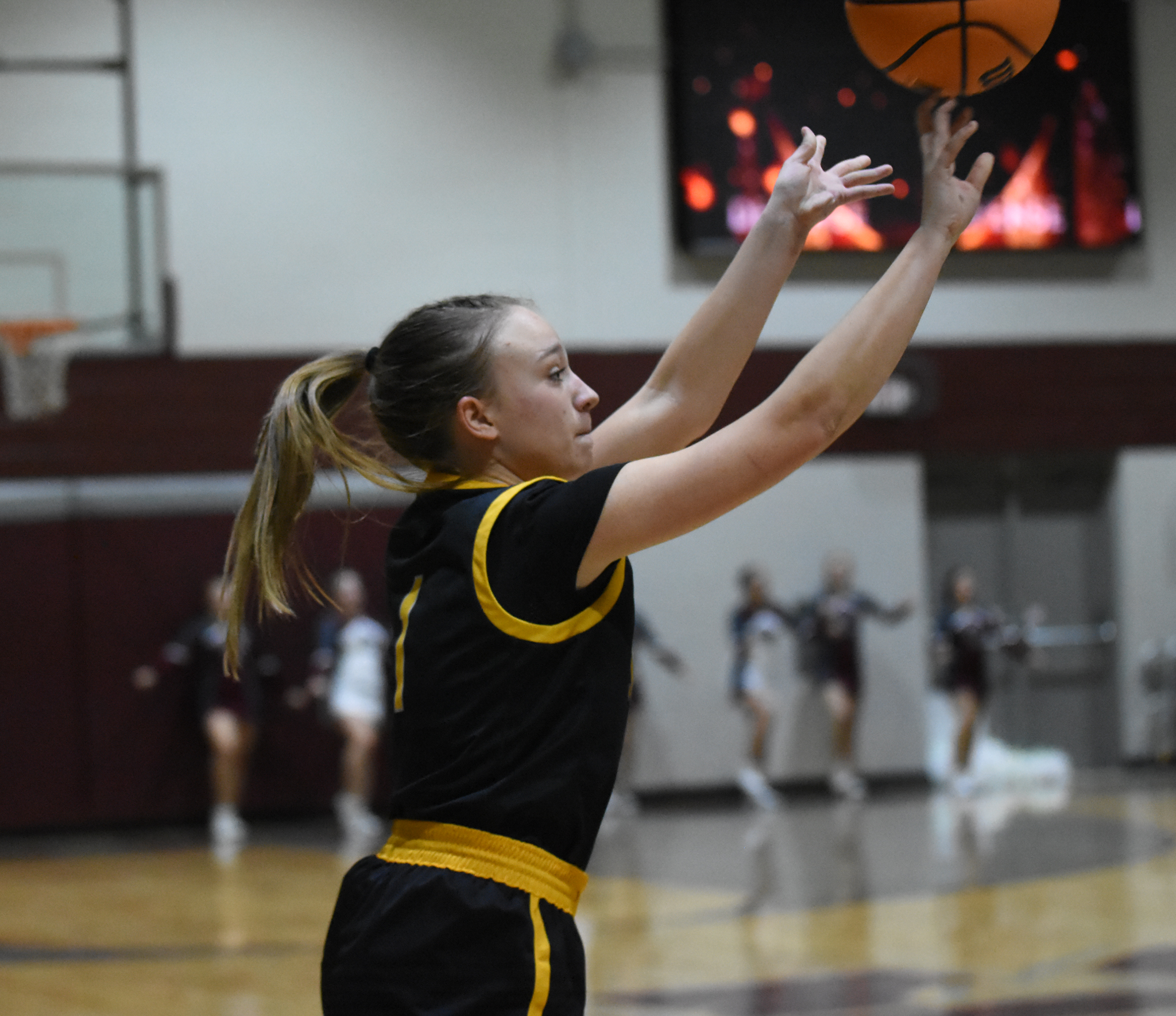 __wf_reserved_inherit