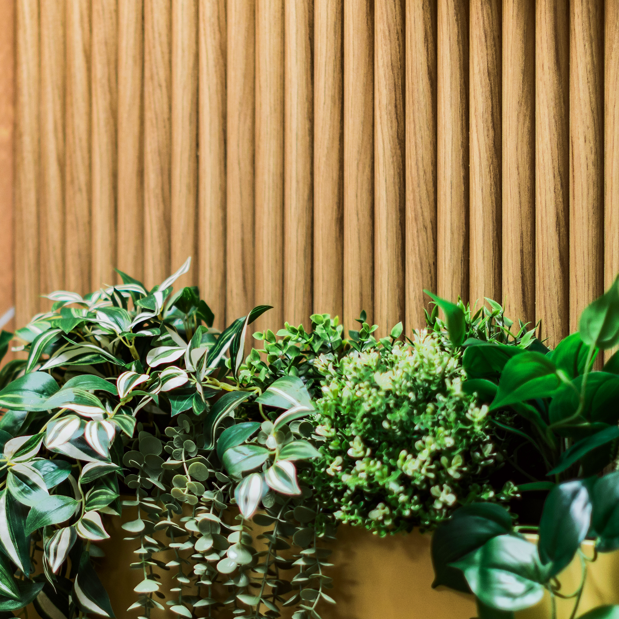 Feature Timber Batten Wall