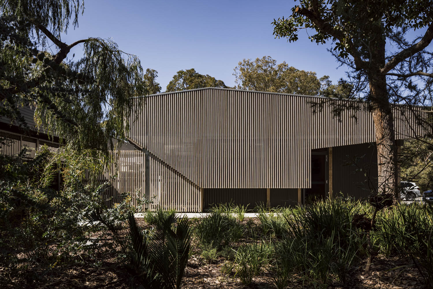 Special Needs Dental Clinic