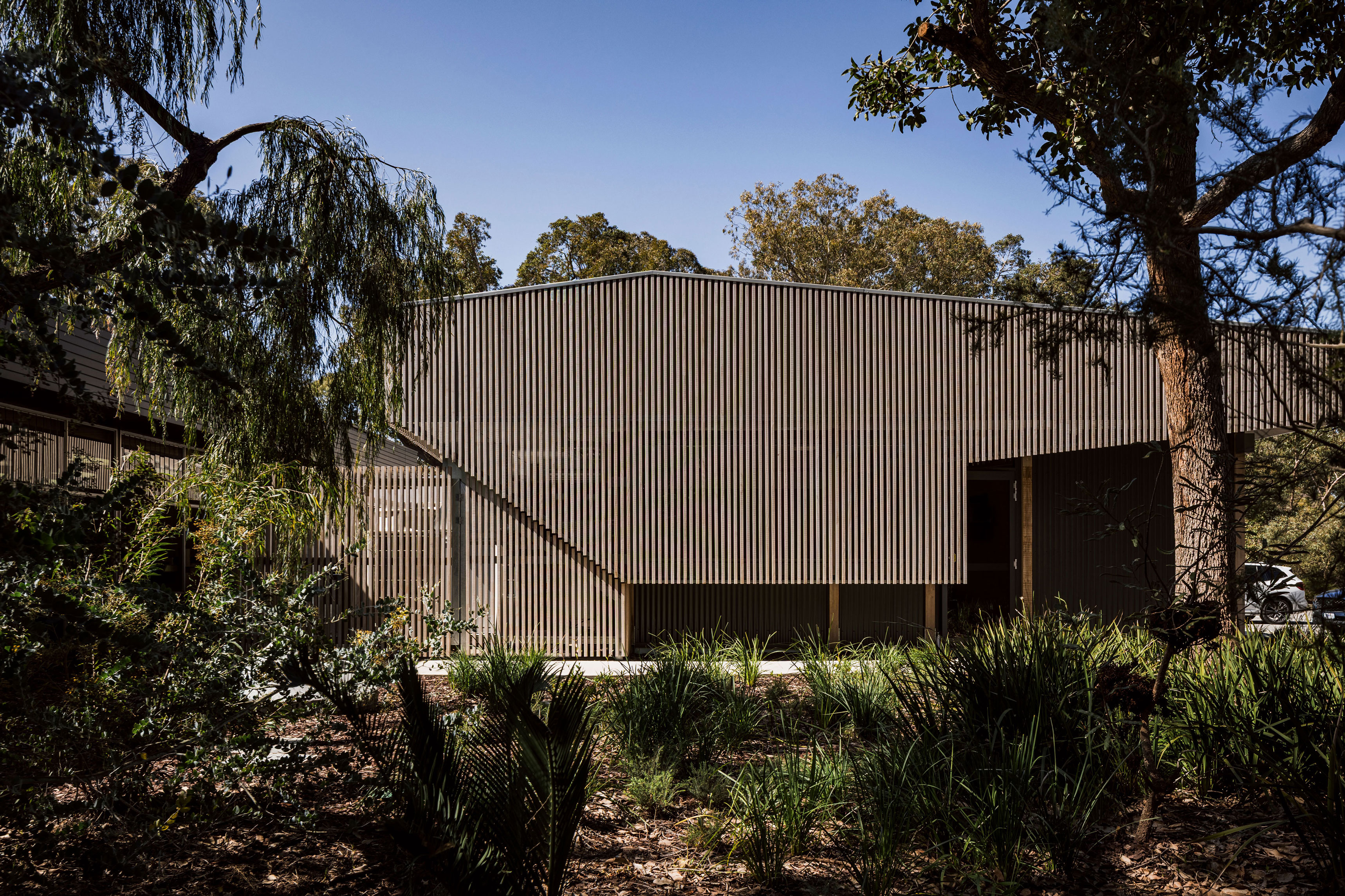 Special Needs Dental Clinic