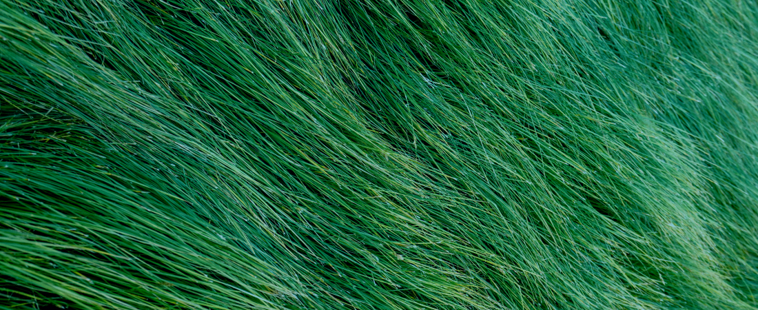 Online Depression Treatment for Adults in Virgnia