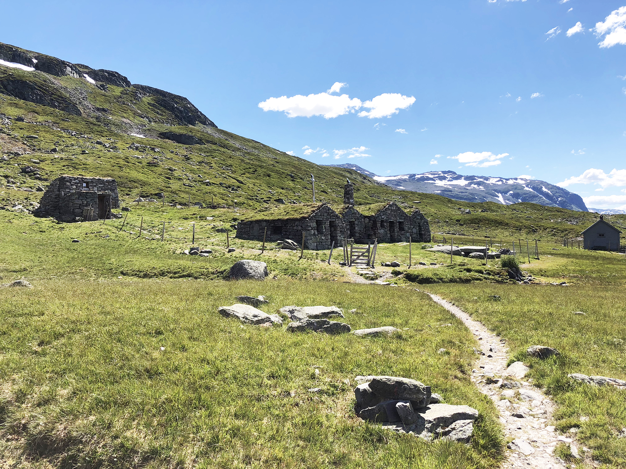 Steinbuene i Vivassdalen 