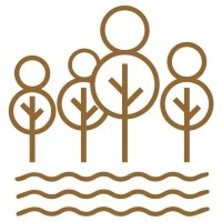 The South London Private GP