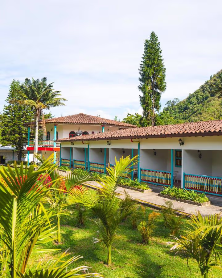 A row of buildings with palm trees in front of them.