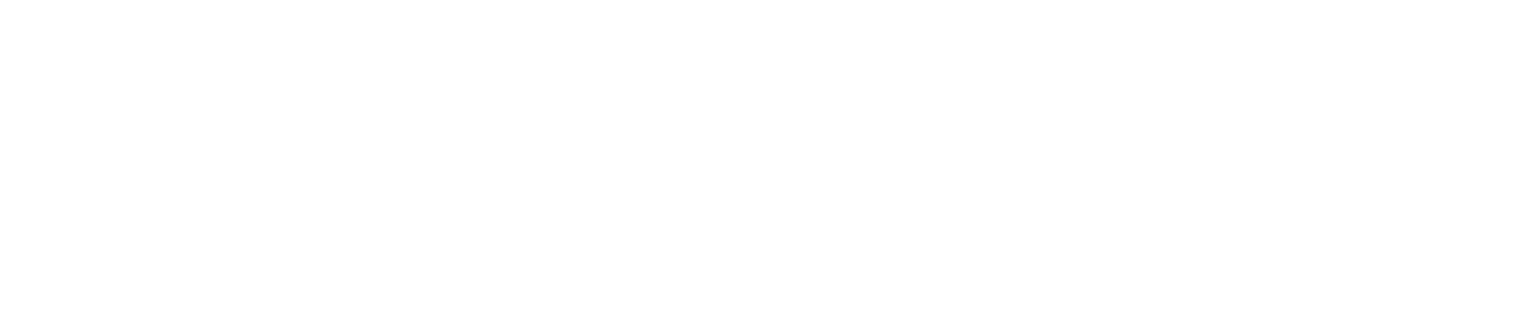 LSBG logo