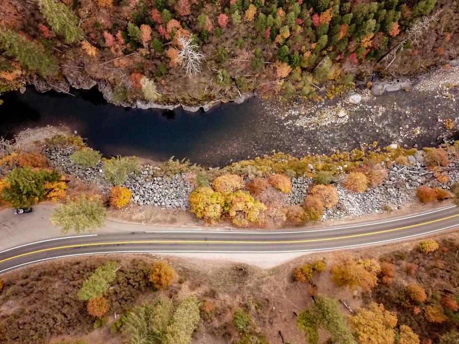 A road through the woods.