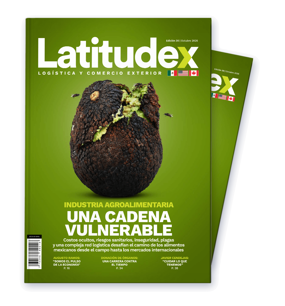 LATITUDEX