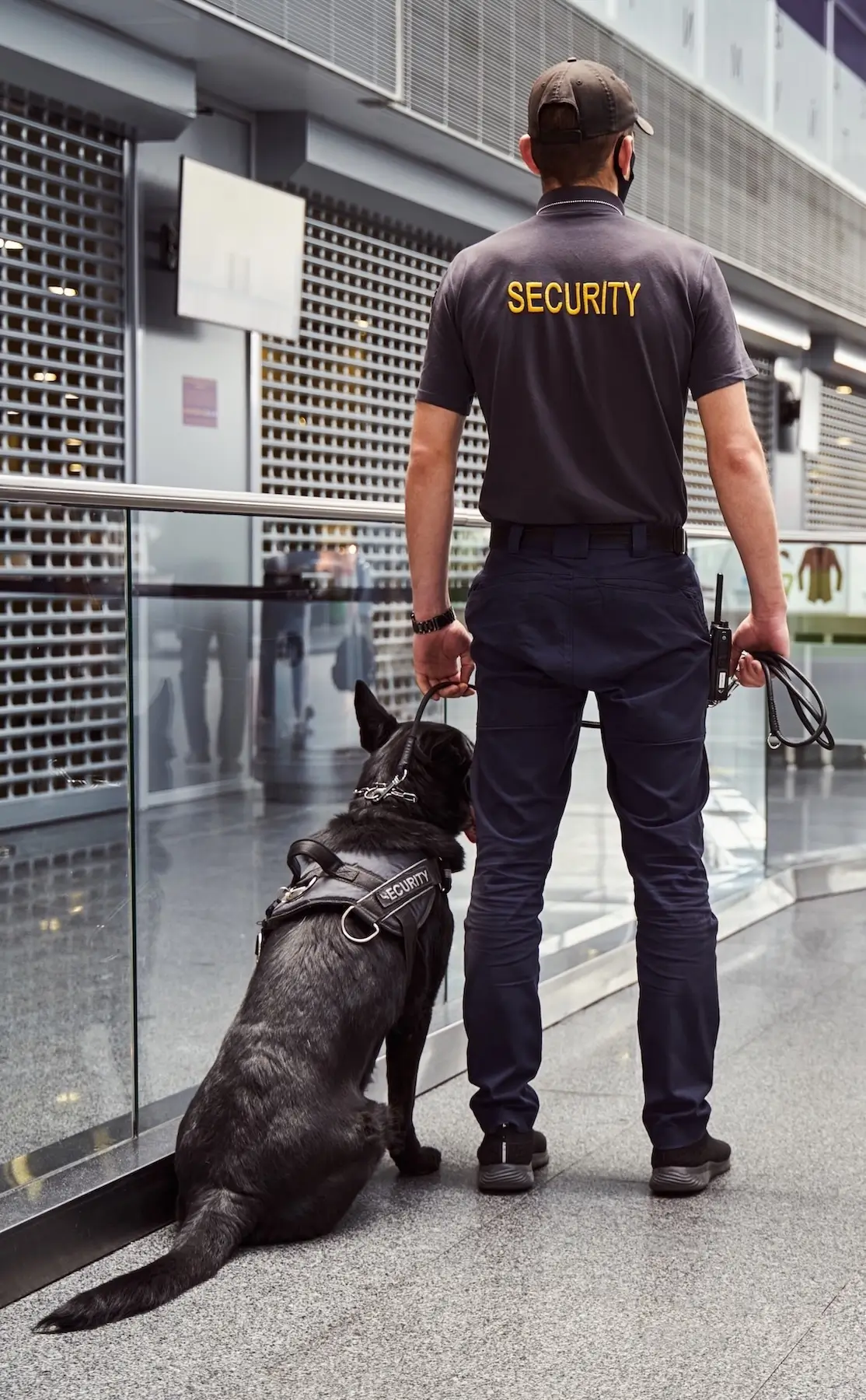 A man and his dog stand together in an airport terminal, surrounded by travelers and luggage.