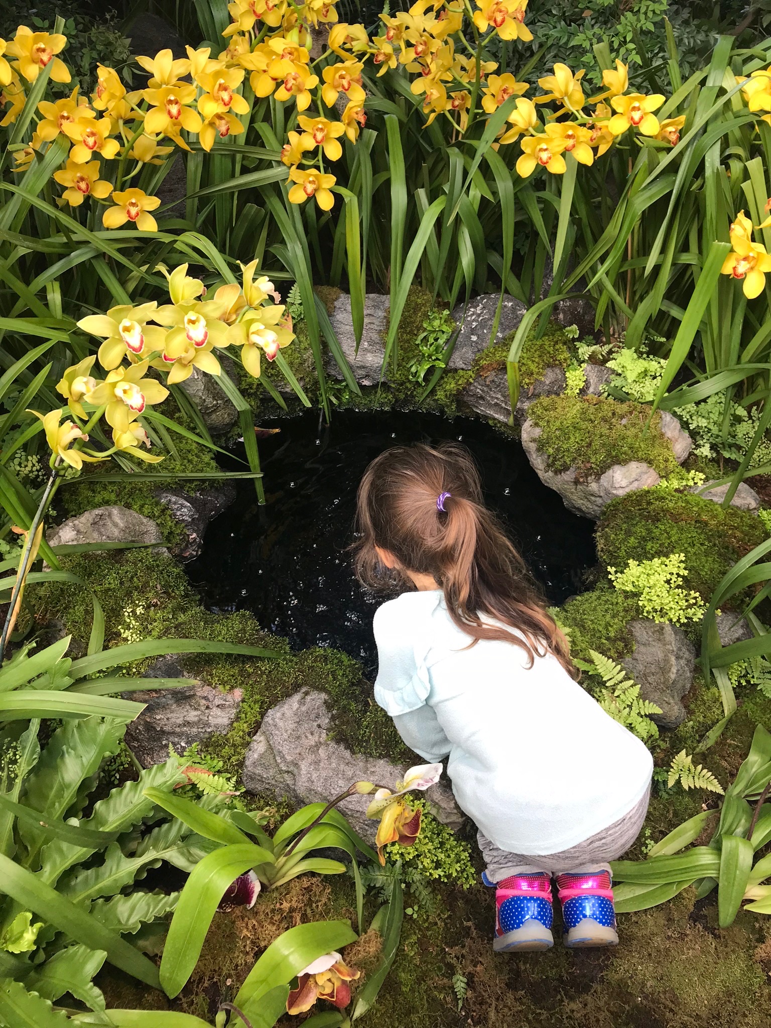 Fragilizing - on being destructively gentle