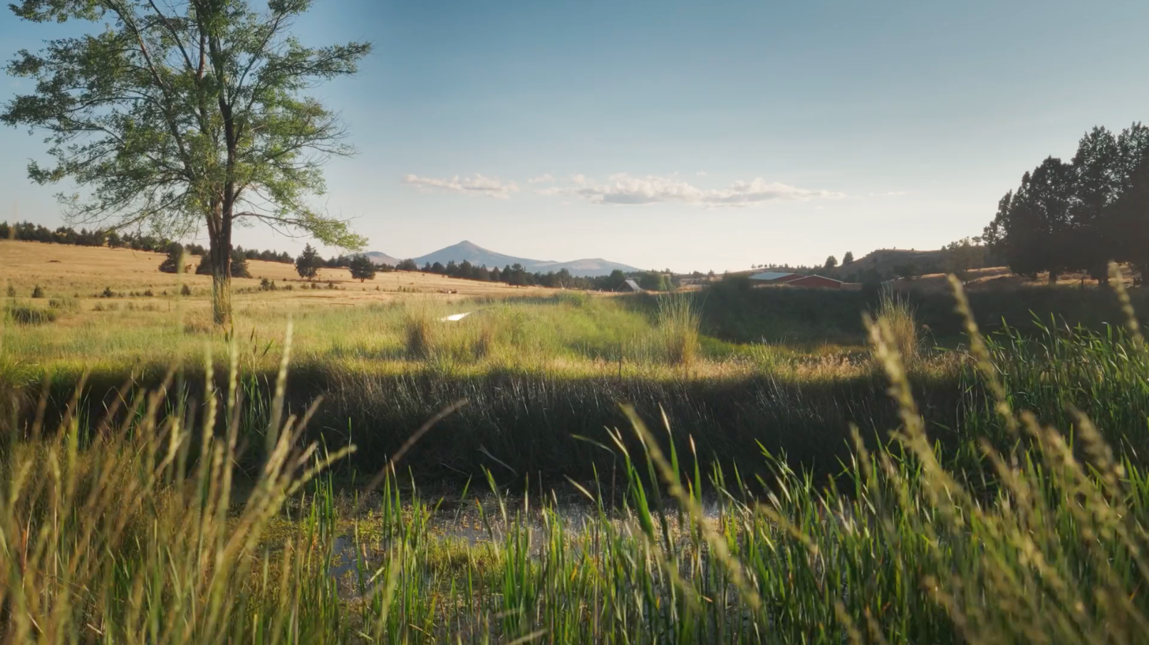 Ranch landscape from an Agoro Carbon Alliance documentary by Reverb Films