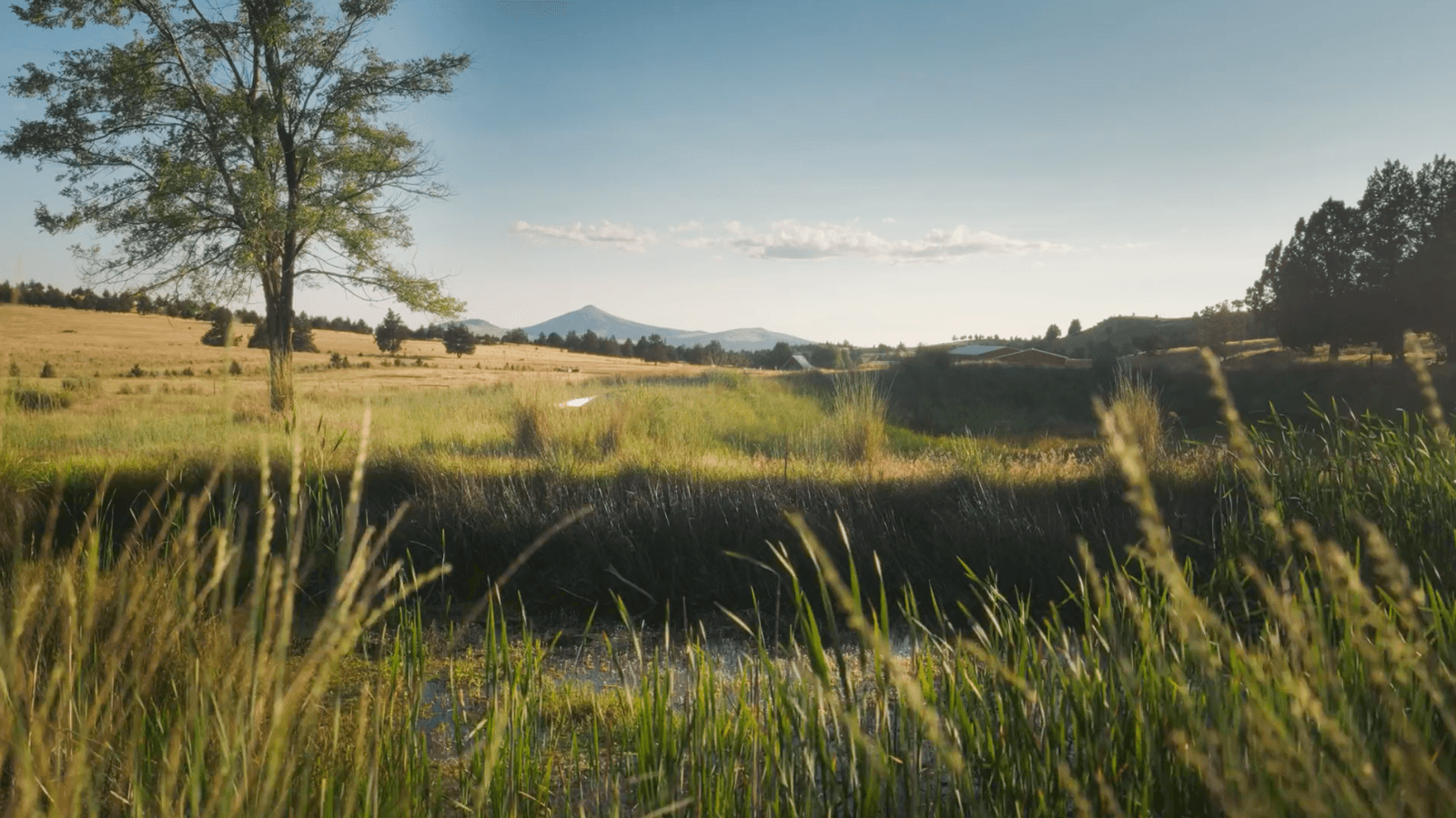 Ranch landscape from an Agoro Carbon Alliance documentary by Reverb Films