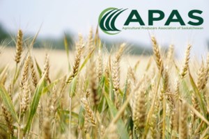 AUDIO: APAS President Bill Prybylski talks various ag issues