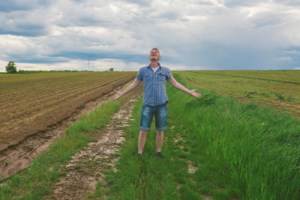 Rain Assists Crop Development in Northwest Manitoba: Crop Report