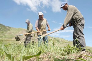 Immigration perceptions hit agri-businesses