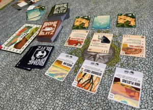 The Meeple Guild: Art really makes this game a joy