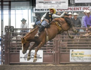 Bucking good time at the Rosthern Ag Society fairgrounds
