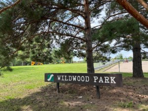 Saskatoon’s Wildwood was once used for agriculture