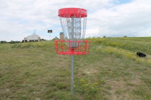 Regina disc golfers smash 12-hour record for most rounds played