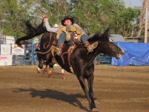 Annual Lakeshore Stampede rodeo in Elbow sees big turnouts