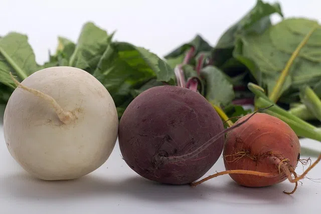 I’ve invested in Turnips
