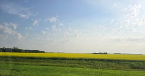 SaskAgToday Roundtable: Changes to crop conditions