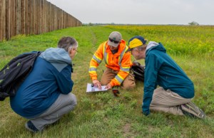 The wonderful world of prairie blooms