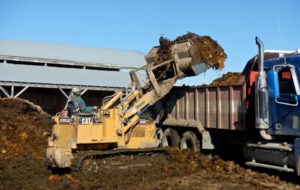 Anaerobic digestion seen as possible emissions solution