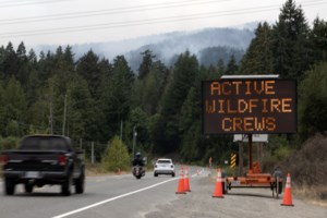 Blaze near Cathedral Grove, but B.C. fire service says ancient forest not at risk