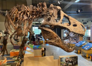 Celebrate Scotty's Unearthed Day with the Royal Saskatchewan Museum